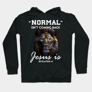 Normal Isn't Coming Back but Jesus Is Cross Christian Hoodie